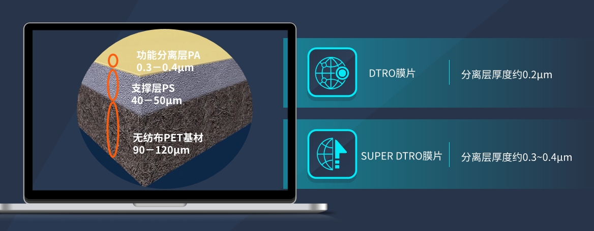 DTRO膜片微观结构